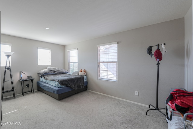 bedroom featuring carpet