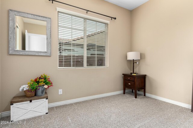 interior space featuring carpet floors