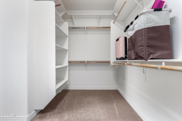 walk in closet with carpet floors