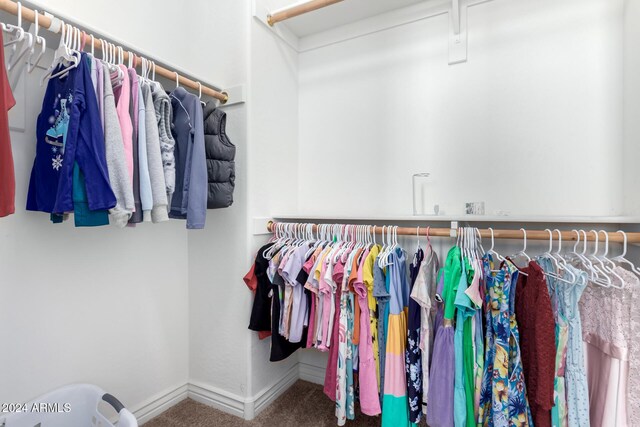 spacious closet featuring carpet floors