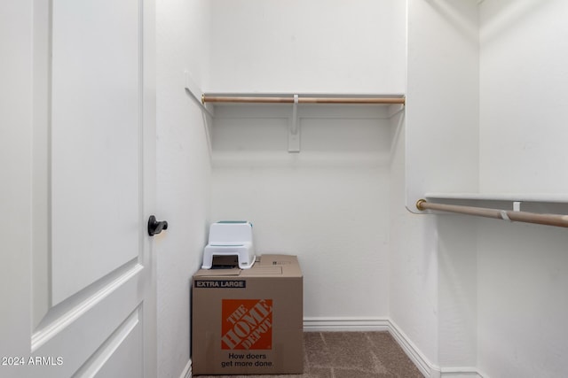 spacious closet with carpet flooring