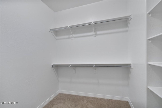 spacious closet with carpet flooring