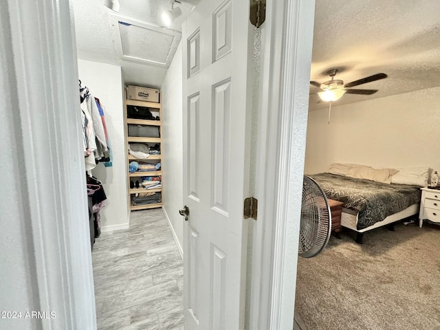 spacious closet featuring ceiling fan and light colored carpet