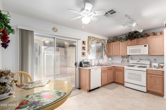 kitchen featuring ceiling fan, white appliances, rail lighting, and sink