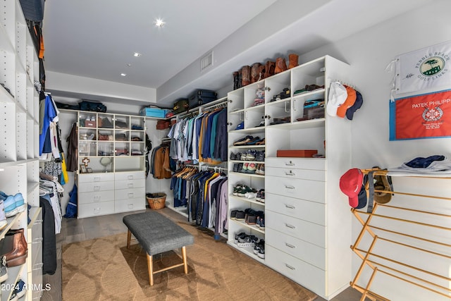 spacious closet featuring wood-type flooring