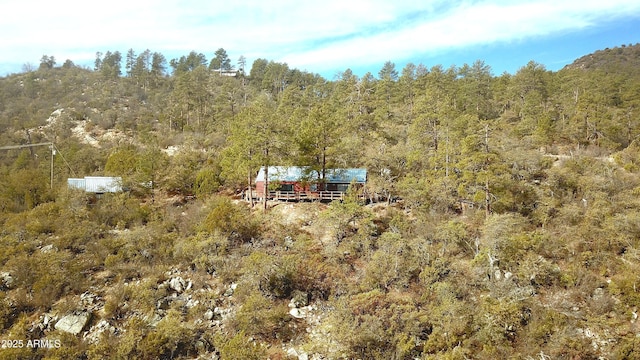 6358 E Mountain View Rd, Crown King, AZ 86343 - aerial view featuring a forest view