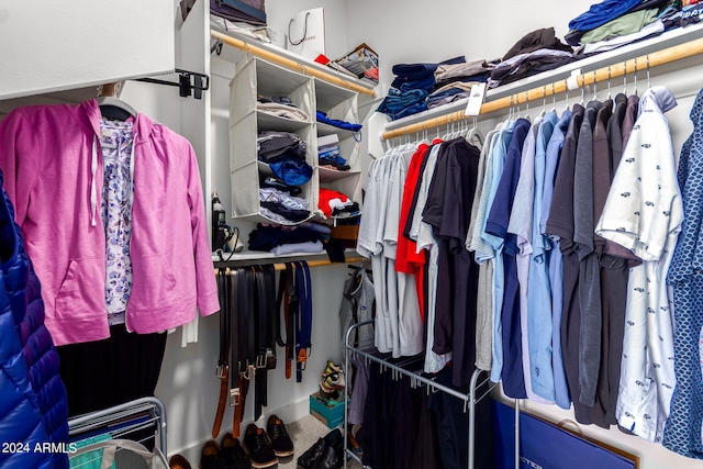 view of spacious closet