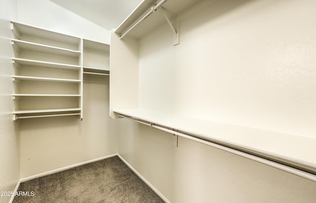 17617 W Corrine Dr, Surprise, AZ 85388 - walk in closet with dark carpet