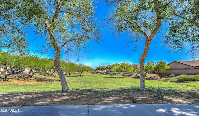 17617 W Corrine Dr, Surprise, AZ 85388 - view of grassy yard