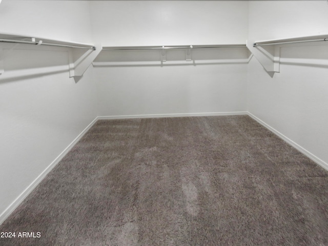 walk in closet with dark colored carpet