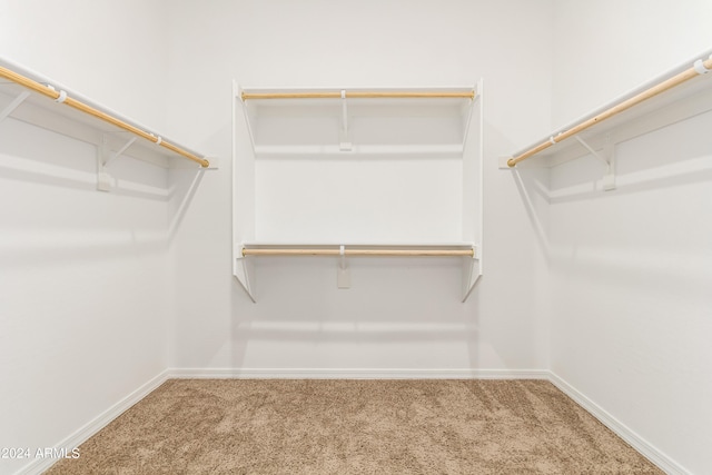 spacious closet with carpet flooring