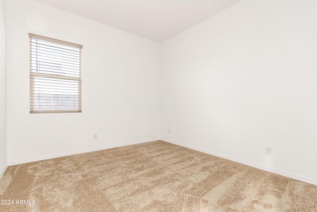 unfurnished room featuring carpet