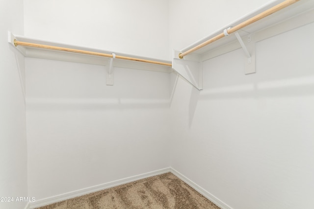 walk in closet with carpet