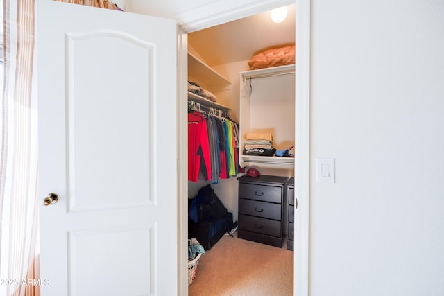 walk in closet with carpet