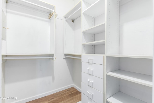 walk in closet with hardwood / wood-style flooring