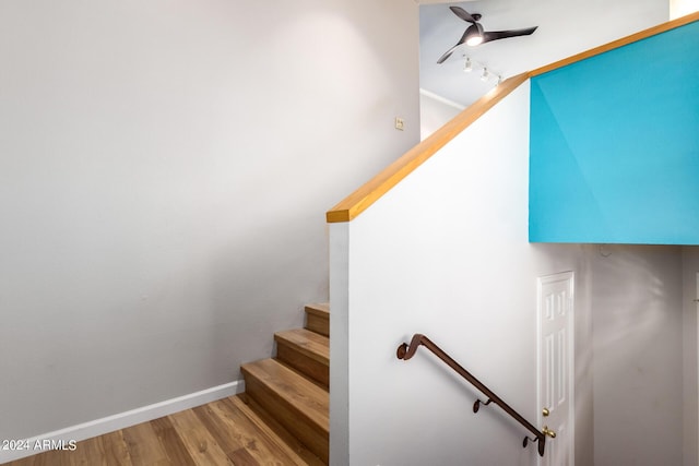 stairway featuring ceiling fan and wood-type flooring