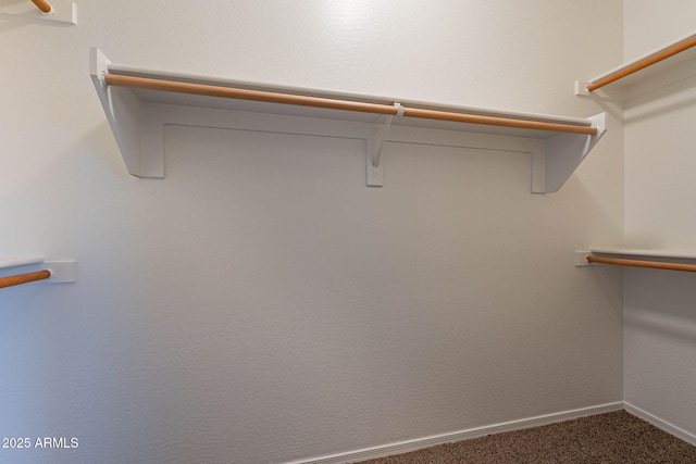 spacious closet with dark colored carpet