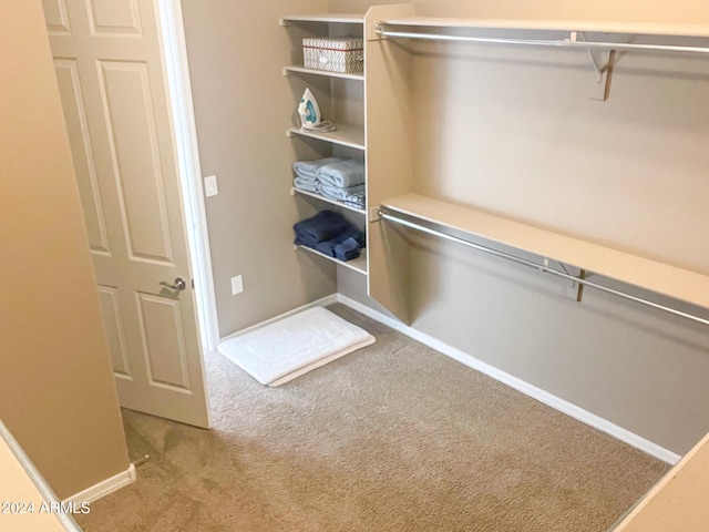 walk in closet with carpet floors