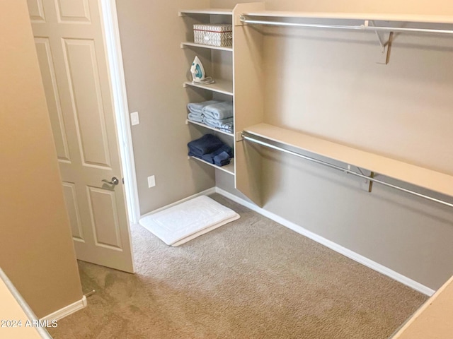 27002 W Oraibi Dr, Buckeye, AZ 85396 - walk in closet featuring carpet flooring