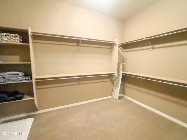 walk in closet featuring carpet floors