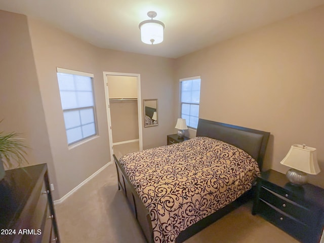 bedroom with multiple windows, a spacious closet, carpet floors, and a closet