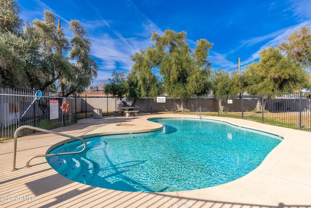 view of pool featuring a patio