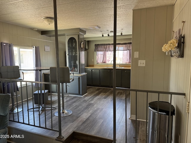 1776 S Lawson Dr, Apache Junction, AZ 85120 - kitchen with dark wood-style floors, healthy amount of natural light, and light countertops