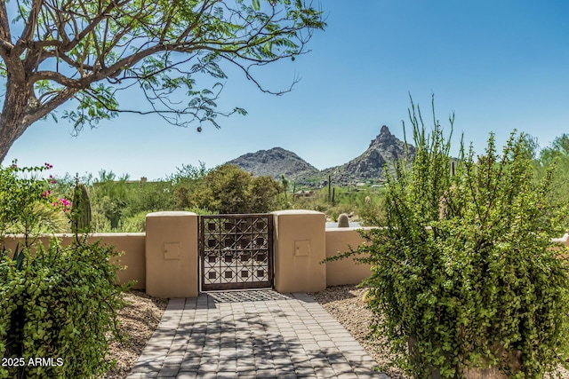 25825 N 106th Way, Scottsdale, AZ 85255 - gate with a fenced front yard and a mountain view