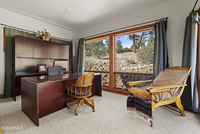 1013 N Scenic Dr, Payson, AZ 85541