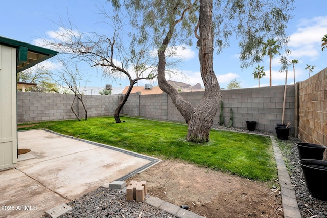 view of yard with a patio area and a fenced backyard