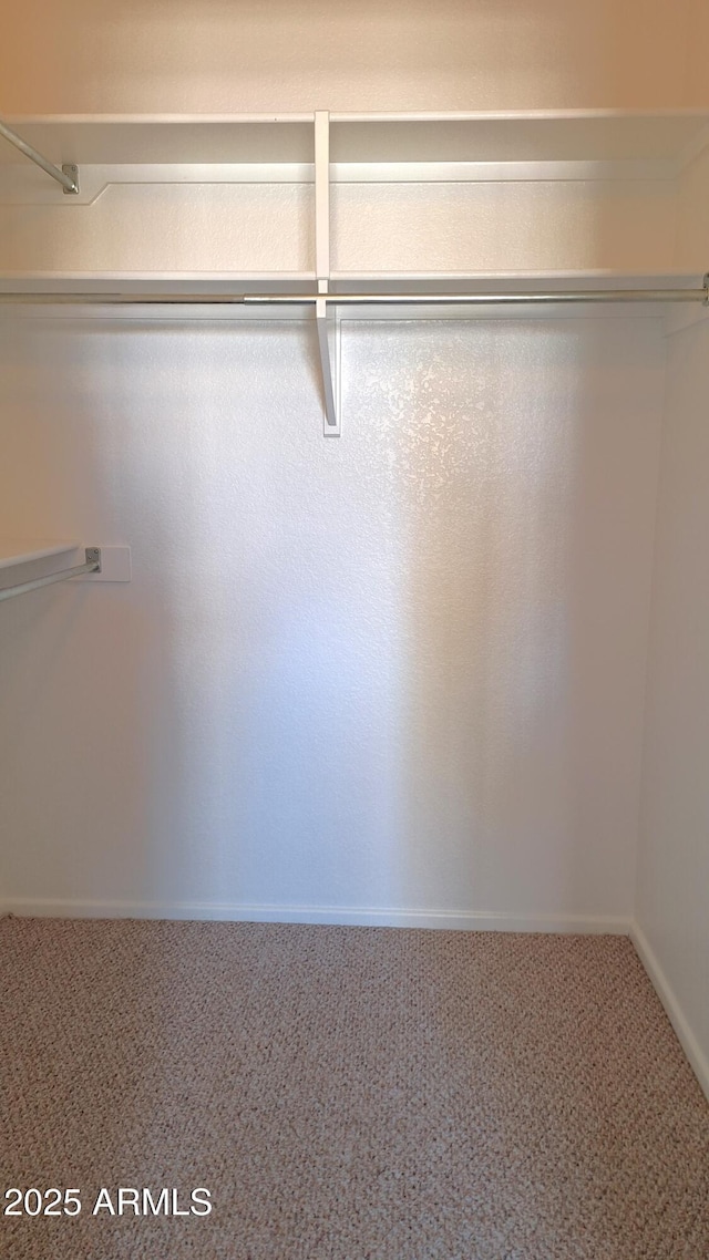 spacious closet with carpet floors