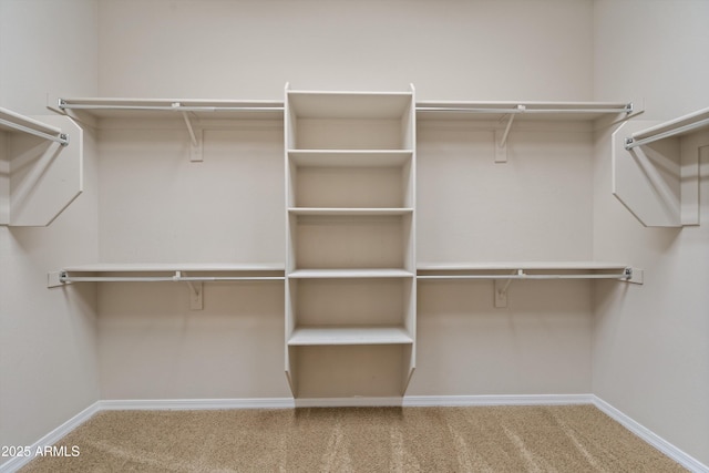 spacious closet featuring carpet flooring