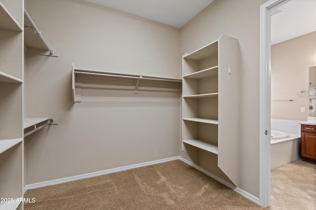 spacious closet with light carpet