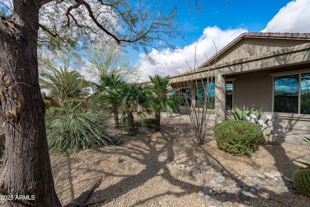 view of yard with a patio area