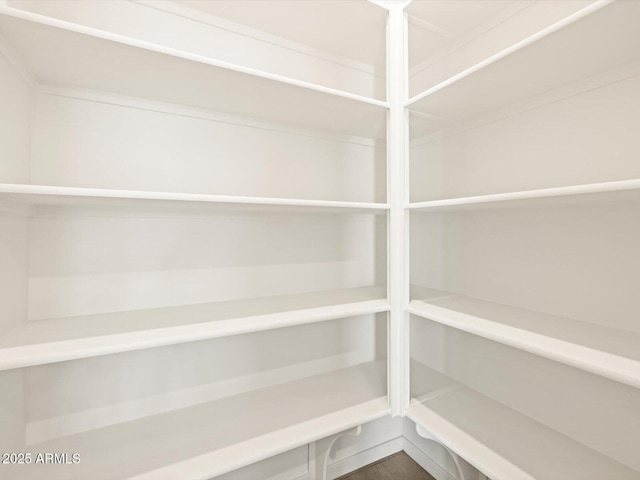 4032 S 176th Dr, Goodyear, AZ 85338 - view of pantry