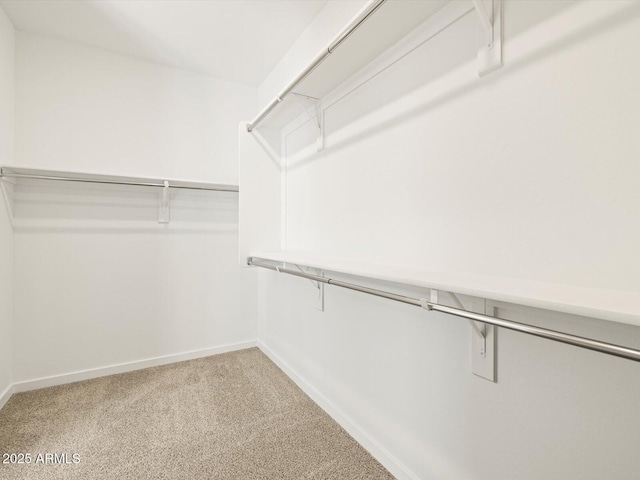 4032 S 176th Dr, Goodyear, AZ 85338 - walk in closet with light colored carpet