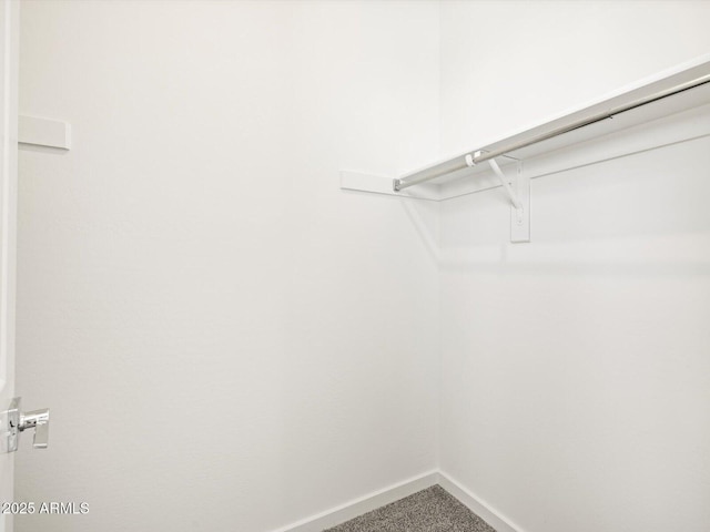 4032 S 176th Dr, Goodyear, AZ 85338 - walk in closet featuring carpet floors