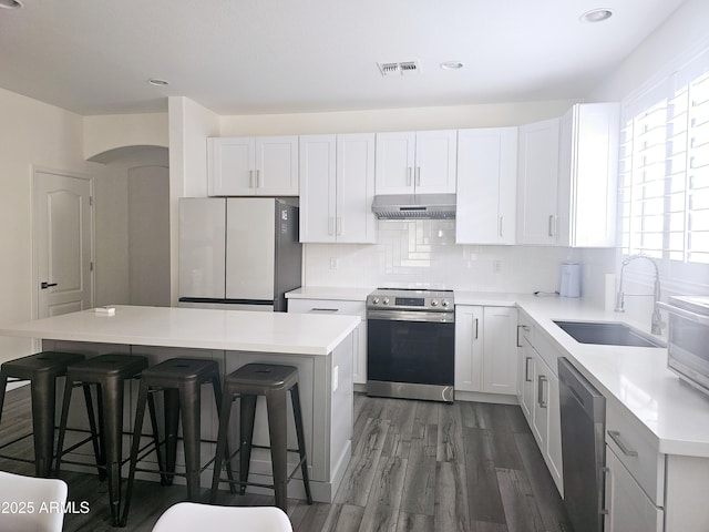 kitchen with stainless steel appliances, tasteful backsplash, visible vents, a sink, and under cabinet range hood