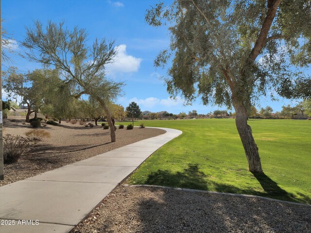 view of community featuring a yard