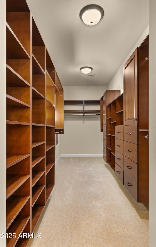 17755 E Colt Dr, Queen Creek, AZ 85142 - walk in closet with light colored carpet