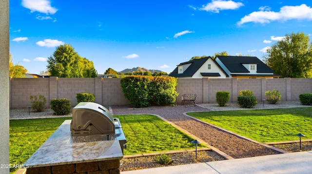 17755 E Colt Dr, Queen Creek, AZ 85142 - view of yard featuring area for grilling and a fenced backyard
