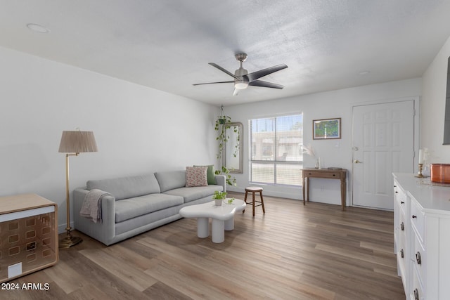 living room with wood-type flooring, a textured ceiling, and ceiling fan