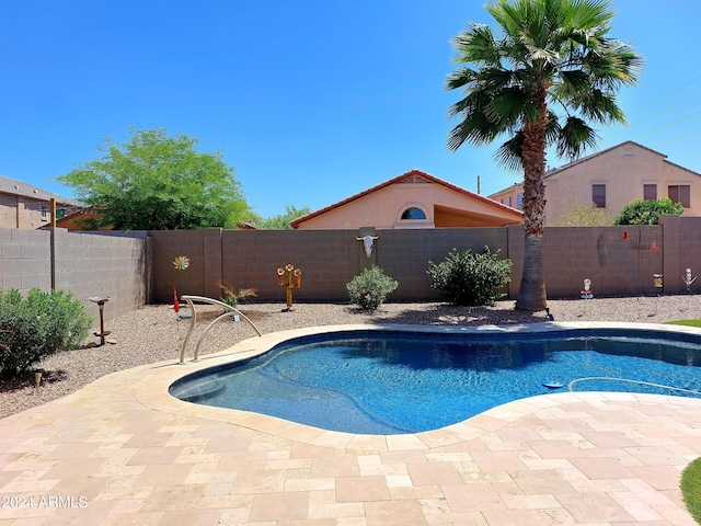 view of pool with a patio