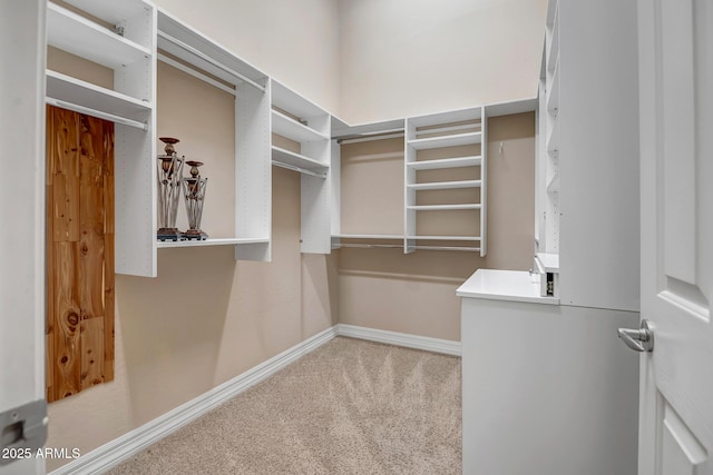 42023 N Bridlewood Way, Anthem, AZ 85086 - spacious closet with carpet floors