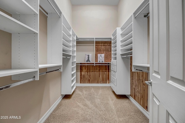 42023 N Bridlewood Way, Anthem, AZ 85086 - spacious closet featuring carpet flooring