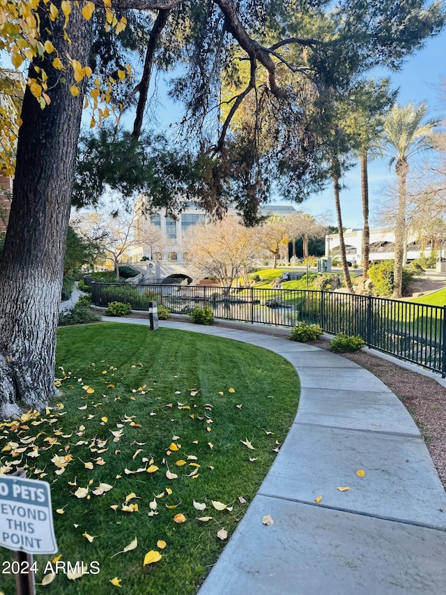 view of home's community with a lawn