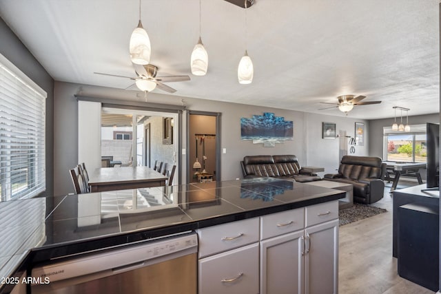 kitchen featuring light wood-style flooring, open floor plan, ceiling fan, and stainless steel dishwasher