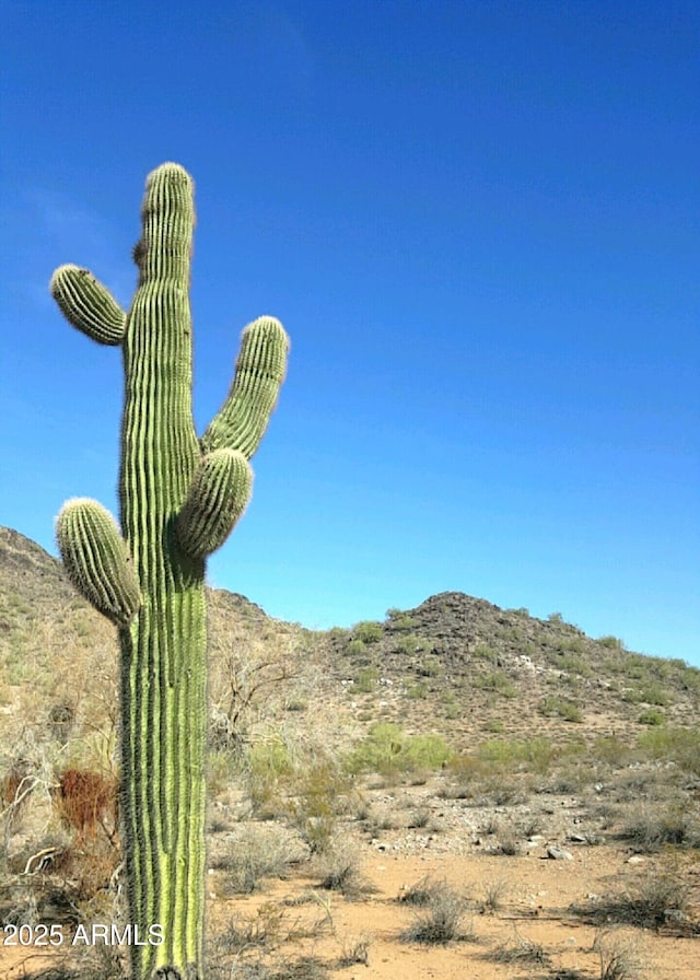 property view of mountains