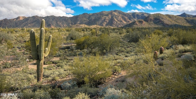 view of mountain feature