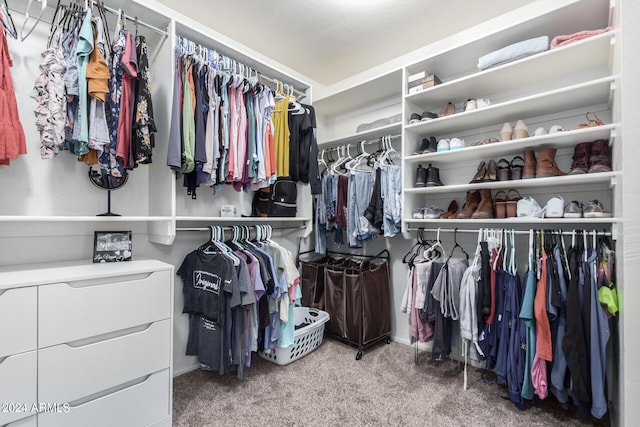 walk in closet with carpet floors